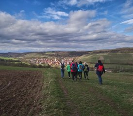 5 Tage Yoga und Wandern im Naturpark Stromberg, Deutschland - Photo 3