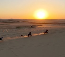 8 Tage Kairo und Siwa-Oase Reiturlaub mit Jeep-Safari in Ägypten - Photo 5