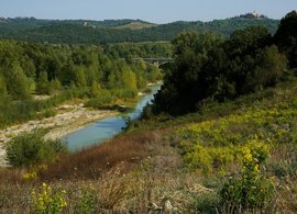 Merse River Retreats & Trips