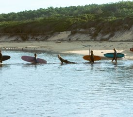 117-Daagse Alles-Inbegrepen Surfretraite (18+) Moliets Bos en Golven Frankrijk - Photo 1