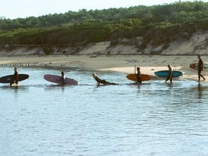 7-Daagse Alles-Inbegrepen Surfretraite (18+) Moliets Bos en Golven Frankrijk