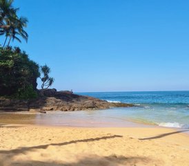 7 Day Christmas Yoga Retreat in Bentota Area, Sri Lanka - Small Group by The Beach - Photo 3