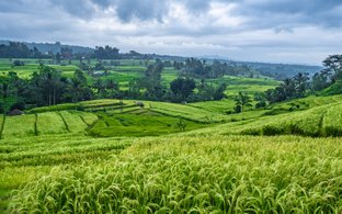 Jatiluwih Retraites en Reizen
