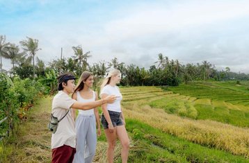 4 días para rejuvenecer tu mente y tu cuerpo en medio de la naturaleza: retiro de bienestar en Bali, Indonesia
