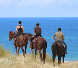 8 Day Atlantic Coast Trail Horseback Riding Tour in Mimizan, Landes, France - Photo 4