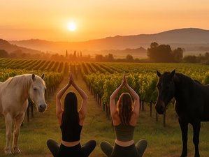 6 Tage Solar Eclipse Retreat mit Pferden in Katalonien, Spanien