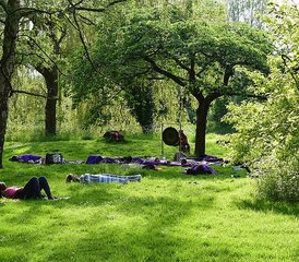 3 Day Women's Summer Weekend Retreat: Yoga, Nature, and Deep Rest in Norfolk, UK - Photo 2