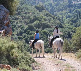 8 Day Fun Week Kids Horse Riding Holiday in Hersonissos, Crete, Greece - Photo 5
