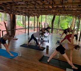 24 jours-200h en formation de professeur de yoga au cœur de la jungle luxuriante de Dominical, Costa Rica - Photo 4