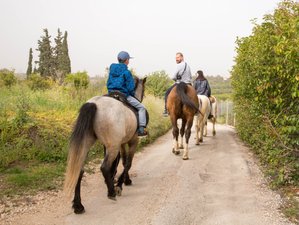 4 Day Hills and Sea Horseback Riding for All Levels in Pyrgiotika, Nafplion