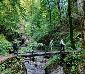 7 Day Into the Wild: Yoga, Hiking, and Recharging Retreat in Gorski Kotar, Croatia - Photo 3