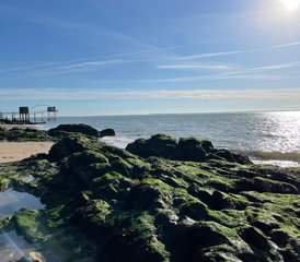 3 jours en week-end de yoga et retour à soi à Saint-Nazaire, Pays de la Loire, France - Photo 2