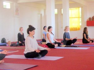 25 jours-200h en formation de professeur de yoga hatha, ashtanga et vinyasa à Dharamshala, Himalaya, Inde