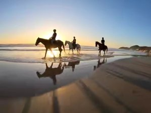 Tnthorseandheart: 15 Day Fully Inclusive Horse Holiday Adventure in the Wild Coast of South Africa