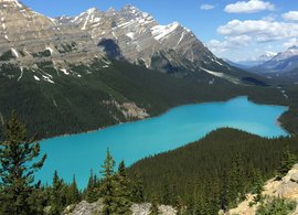 Jasper Retreats & Trips