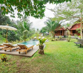 7 Day Yoga and Meditation with a Combination of Culture Health Retreat in Bali, Indonesia - Photo 2