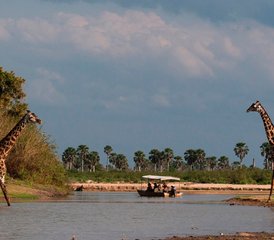 2 Tage Mikumi Nationalpark Safari mit malerischer Zugfahrt in Mikumi National Park, Tansania - Photo 3