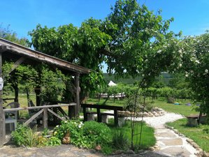 4 Day Autumn Nature Yoga Retreat in Bulgaria