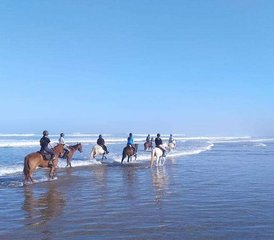 8 Tage Ranchaufenthalt mit Dreitägigem Reitausflug zu Stränden, Wüste und Palmenhainen in Sidi Boulfdail, Marokko - Photo 5