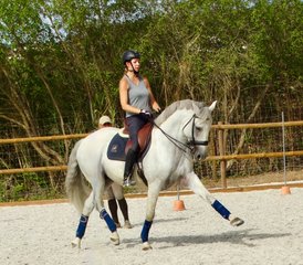 5 Day Cultural Program and Dressage Holidays in Alenquer, Lisbon, Portugal - Photo 5