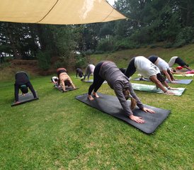 3 jours en retraite d’immersion dans l’être : yoga à Amatlán, Morelos, Mexique - Photo 2