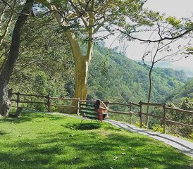 4-Daagse Vrouwen Retreat: Transform Your Power in Michoacán, Mexico - Photo 3