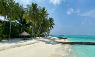 North Ari Atoll Retreats & Trips
