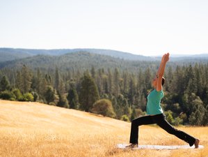 3 Day Yoga Retreat: Ananda Yoga to Awaken the Chakras in Nevada, USA