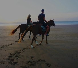8-Daagse Surfkamp Pakket voor Stellen in Sidi Kaouki, Essaouira, Marokko - Photo 3