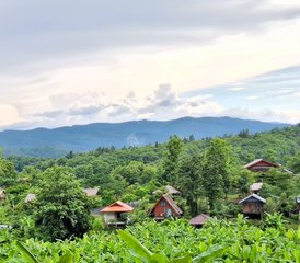 26 jours-200h en formation de professeur de yoga et méditation tout compris à Chiang Mai, Thaïlande - Photo 3