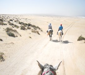 8 Tage Strände, Wüste und Palmenhaine des Großen Marokkanischen Südens Reiturlaub - Photo 5