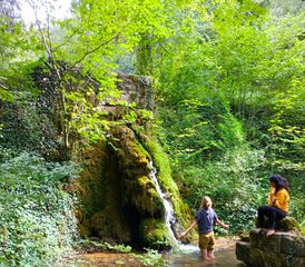 7 Day Yoga, Pranayama and Meditation Retreat in the Champagne-Ardenne, France - Photo 2