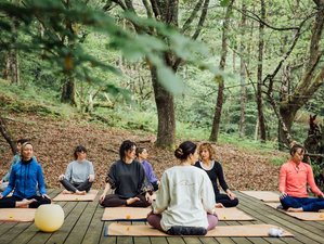 3 días de retiro de Ashtanga yoga y baño de bosque en Asturias, España