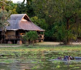 4 Tage Luxus-Safari im South Luangwa-Nationalpark, Sambia - Photo 4