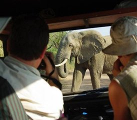 6 TageCamping-Safari im Kafue Nationalpark, Sambia - Photo 5