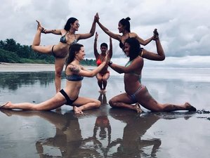 200-Stunden Hybride: Selbstgesteuerte Online- und 7-Tägige Präsenz-Yogalehrer Ausbildung in Boquete, Panama