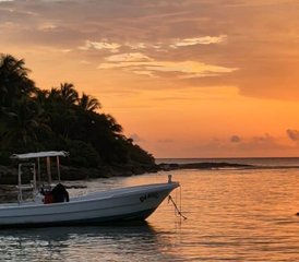 7 Tage Pilates, Yoga und Tauch Retreat in der Riviera Maya, Mexiko - Photo 4