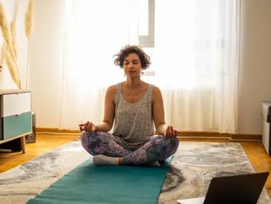 53 días de profesorado de yoga online de 200 horas