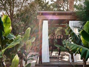 8 jours en stage de yoga et poterie à Malia, Crète, Grèce