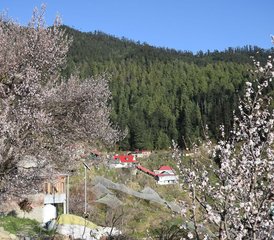 5 Day Tejas - A Mountain Yoga Retreat in Rukhla, Himachal Pradesh, India - Photo 5