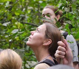 15 Day Wildlife, Apes, Chimpanzees, and Nature Safari Tour in Uganda - Photo 3