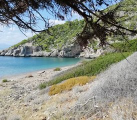 6 jours en stage de yoga en Bord de mer de Micri Milokopi, Grèce - Photo 3
