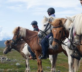 7-Tägige Ratekjokk Trail Reittour in Schweden - Photo 2