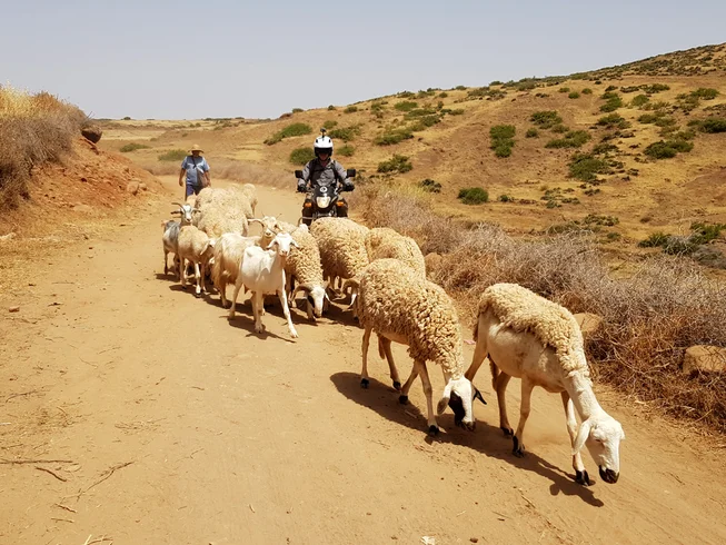 7 Day Guided Motorcycle Tour in High Atlas Mountains, Morocco photo 3