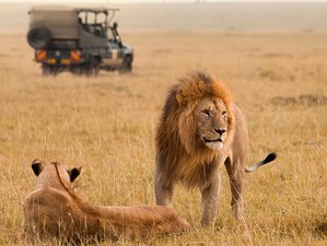 5 Day Kruger Safari in A Midrange Tented Camp in South Africa