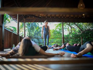 8 Day Wellness, Massage, Meditation, and Yoga Holiday in Hiriketiya, Southern Province