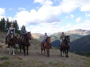 5 Tage Grizzly- und Schwarzbär-Tracking und Reittour in Kanada