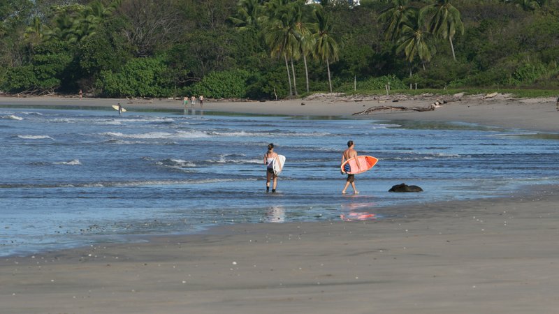 8 Day Basic Surfing Instruction and Surf Camp in Playa Venao