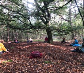 3 Tage Stille Yoga Retreat in der wunderschönen Natur auf der Veluwe - Photo 5