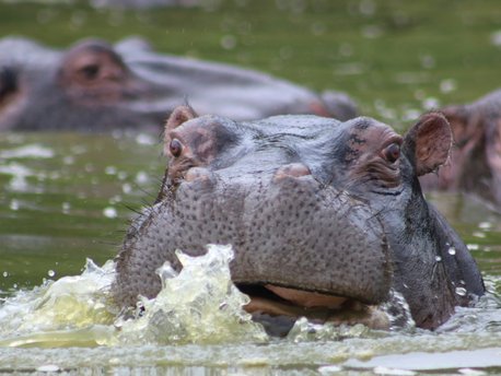 Lake Mburo National Park